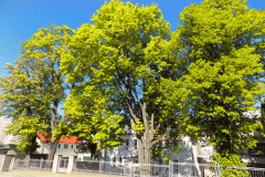 DSCN1395