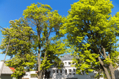 1_DSCN1394