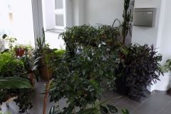 DSCN1347