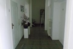 DSCN1351