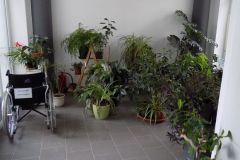 DSCN1363