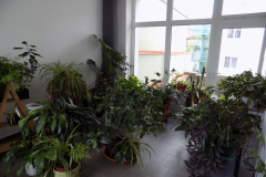 DSCN1364