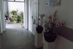 DSCN1368