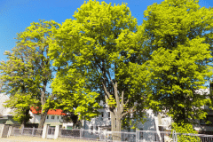 DSCN1395